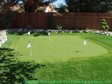 Artificial Grass Photos: Best Artificial Grass San Antonio, Texas Putting Green Grass, Backyard Design