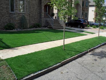 Artificial Grass Photos: Best Artificial Grass Surprise, Arizona Gardeners, Front Yard Landscape Ideas