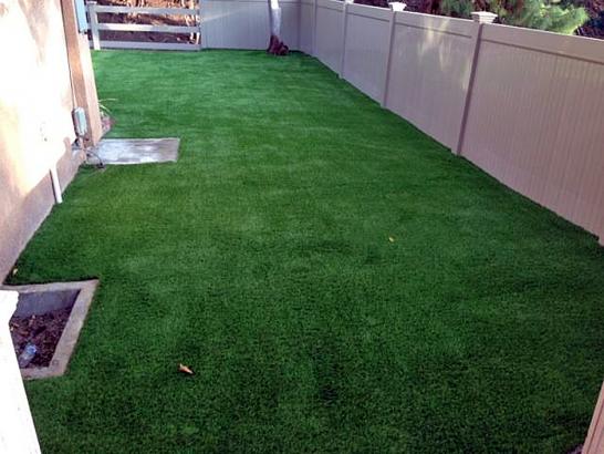 Artificial Grass Photos: Best Artificial Grass Tamarac, Florida Design Ideas, Small Backyard Ideas