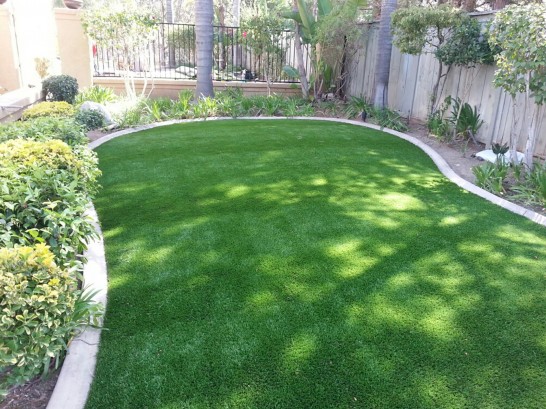 Artificial Grass Photos: Fake Grass Brentwood, California Landscape Photos