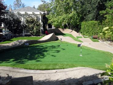 Artificial Grass Photos: Fake Grass Carpet Allen, Texas Putting Green, Small Backyard Ideas