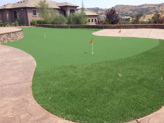 Artificial Grass Photos: Fake Grass Carpet Hanford, California Landscape Ideas