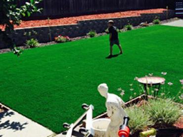 Artificial Grass Photos: Fake Grass Carpet Highlands Ranch, Colorado Roof Top, Backyard Landscape Ideas