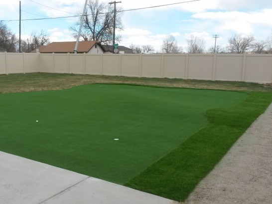 Artificial Grass Photos: Fake Grass Carpet Irondequoit, New York Putting Greens, Backyard Landscape Ideas