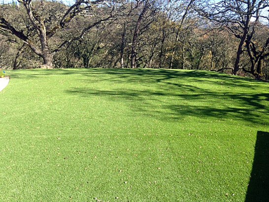 Artificial Grass Photos: Fake Grass Carpet Jupiter, Florida Landscaping, Recreational Areas