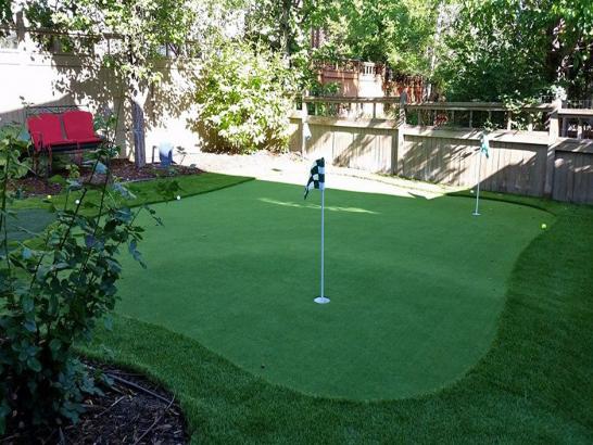 Artificial Grass Photos: Fake Grass Carpet Kettering, Ohio Home And Garden, Backyard Landscaping Ideas