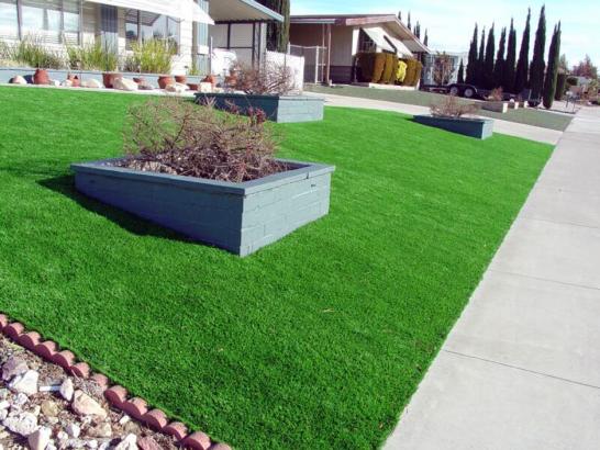 Artificial Grass Photos: Fake Grass Carpet Mansfield, Texas Landscape Photos, Front Yard Ideas