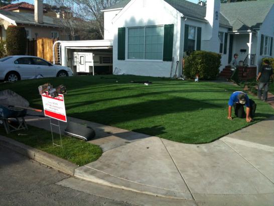 Artificial Grass Photos: Fake Grass Carpet New Britain, Connecticut Landscape Ideas, Front Yard Ideas