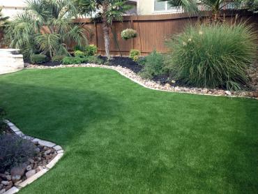 Artificial Grass Photos: Fake Grass Carpet Rialto, California Pictures Of Dogs, Backyards