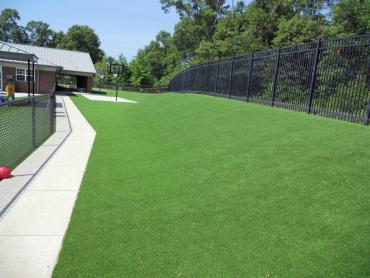 Artificial Grass Photos: Fake Grass Carpet Salinas, California Garden Ideas, Commercial Landscape