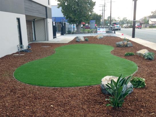 Artificial Grass Photos: Fake Grass Carpet South San Francisco, California Backyard Playground, Commercial Landscape