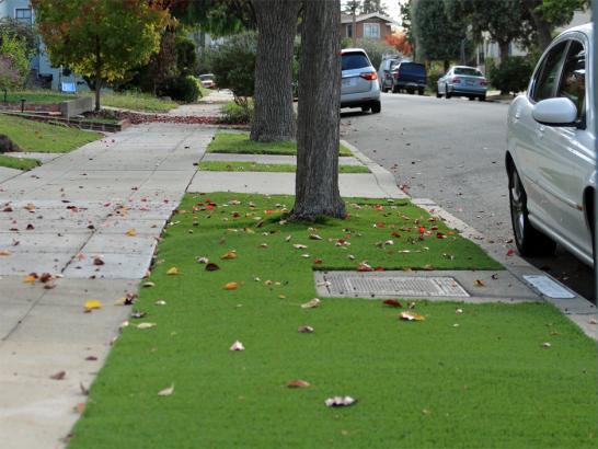 Artificial Grass Photos: Fake Grass Carpet Terre Haute, Indiana Lawns, Front Yard Design