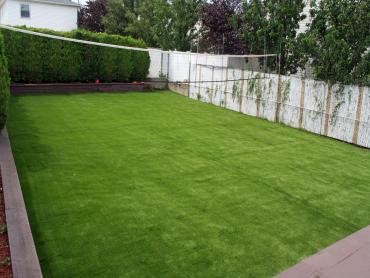 Artificial Grass Photos: Fake Grass Carpet Visalia, California Landscaping, Backyard Design