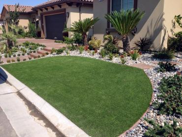 Artificial Grass Photos: Fake Grass Fort Lauderdale, Florida Backyard Deck Ideas, Front Yard Ideas