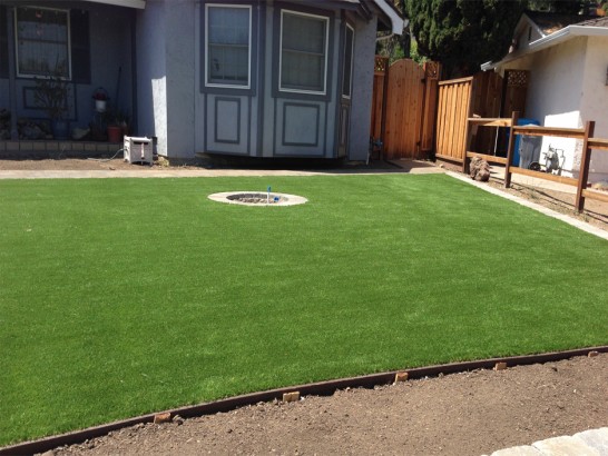 Artificial Grass Photos: Fake Grass Margate, Florida Home And Garden, Beautiful Backyards