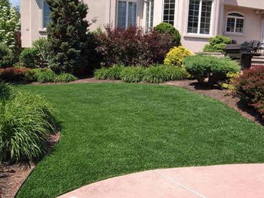 Artificial Grass Photos: Fake Grass Modesto, California Landscape Design, Small Front Yard Landscaping