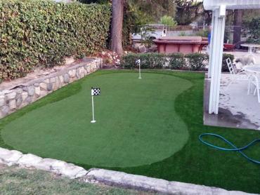 Artificial Grass Photos: Fake Grass New Rochelle, New York Landscape Ideas, Backyard Garden Ideas