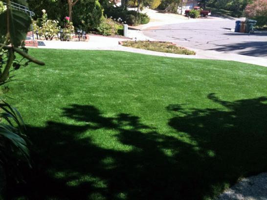 Artificial Grass Photos: Fake Grass Saint George, Utah Backyard Playground, Front Yard Design