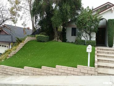 Artificial Grass Photos: Fake Grass Whittier, California Garden Ideas, Small Front Yard Landscaping