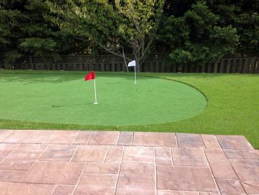 Artificial Grass Photos: Fake Lawn Alafaya, Florida Landscape Rock, Backyard Ideas