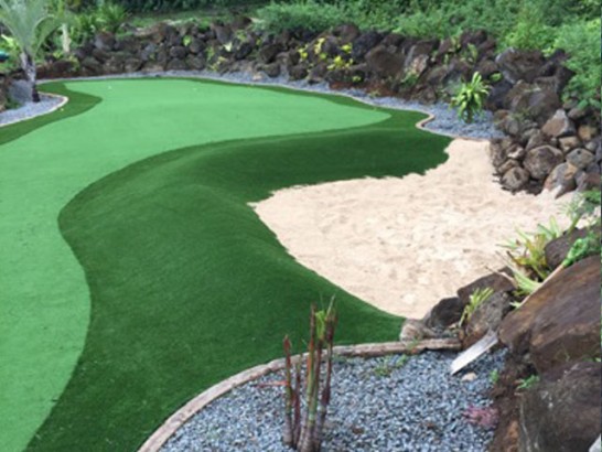 Artificial Grass Photos: Fake Lawn Aloha, Oregon Outdoor Putting Green, Backyard