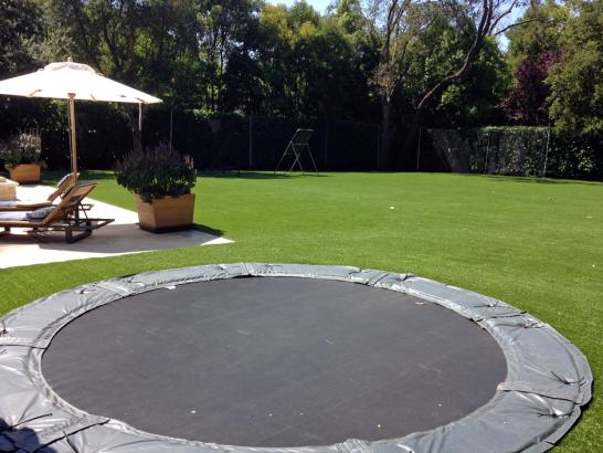 Artificial Grass Photos: Fake Lawn Auburn, Washington Lawn And Garden, Backyard Designs