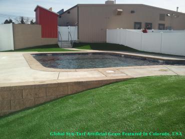 Artificial Grass Photos: Fake Lawn Charlotte, North Carolina Landscaping Business, Natural Swimming Pools