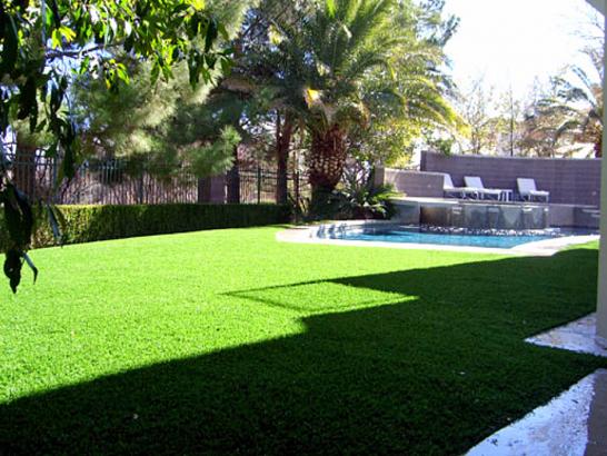 Artificial Grass Photos: Fake Lawn Ellicott City, Maryland Gardeners, Backyard