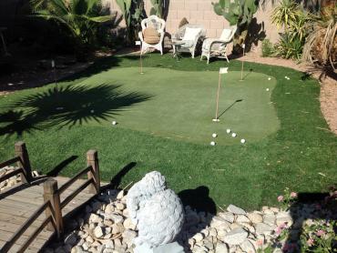 Artificial Grass Photos: Fake Lawn Hoover, Alabama Home Putting Green, Backyard Ideas