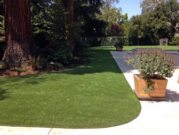 Artificial Grass Photos: Fake Lawn Kansas City, Kansas Dog Running, Front Yard Design