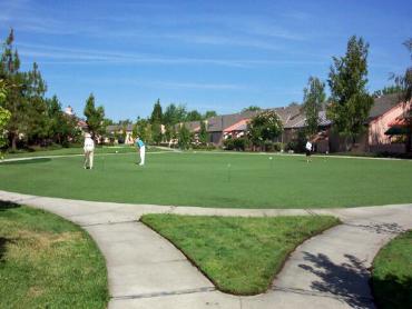 Artificial Grass Photos: Fake Lawn Macon, Georgia Indoor Putting Greens, Commercial Landscape