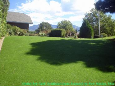 Artificial Grass Photos: Fake Lawn Manhattan, New York Watch Dogs, Backyard Ideas