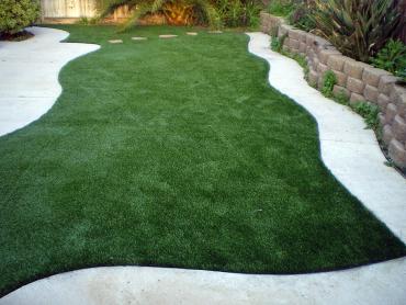 Artificial Grass Photos: Fake Lawn Miami Beach, Florida Backyard Deck Ideas, Backyard Designs