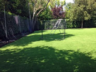 Artificial Grass Photos: Fake Lawn Murrieta, California High School Sports, Beautiful Backyards