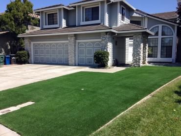 Artificial Grass Photos: Fake Lawn Oceanside, California Landscape Photos, Front Yard Ideas