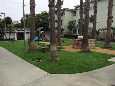 Artificial Grass Photos: Fake Lawn Orlando, Florida Landscaping Business, Commercial Landscape