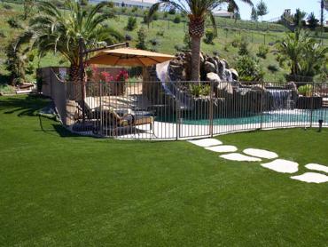 Artificial Grass Photos: Fake Lawn Paradise, Nevada Garden Ideas, Natural Swimming Pools
