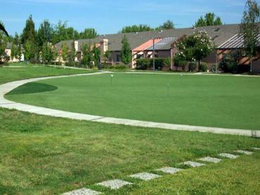 Artificial Grass Photos: Fake Lawn Redding, California City Landscape, Commercial Landscape