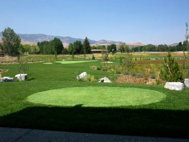 Artificial Grass Photos: Fake Lawn Renton, Washington Putting Greens, Backyard Design