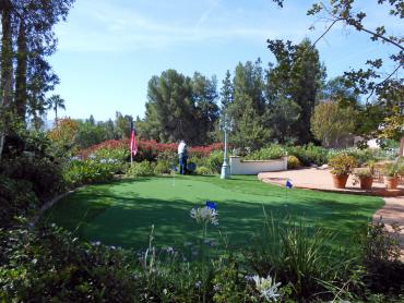 Artificial Grass Photos: Fake Lawn San Mateo, California Putting Greens, Backyards