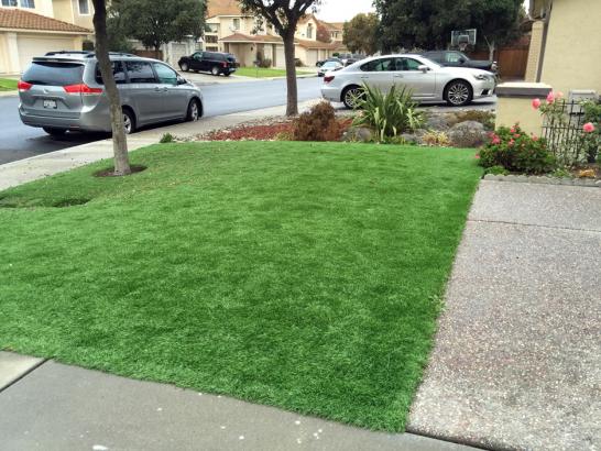 Artificial Grass Photos: Fake Lawn Santa Cruz, California Landscape Ideas, Front Yard Landscape Ideas