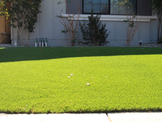 Artificial Grass Photos: Fake Lawn Sarasota, Florida Lawn And Landscape, Landscaping Ideas For Front Yard