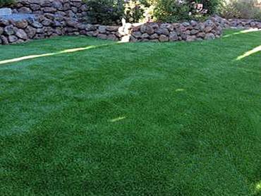 Artificial Grass Photos: Fake Lawn Spring Hill, Florida Paver Patio, Backyard Garden Ideas