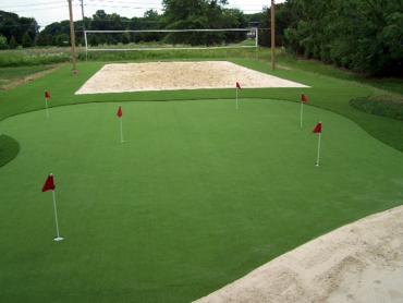 Artificial Grass Photos: Fake Lawn Tallahassee, Florida Office Putting Green, Backyards