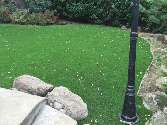 Artificial Grass Photos: Fake Lawn Wheaton, Illinois Landscape Photos, Backyard Makeover