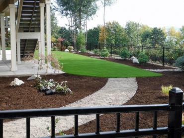 Artificial Grass Photos: Fake Turf Anaheim, California City Landscape, Backyard Landscape Ideas