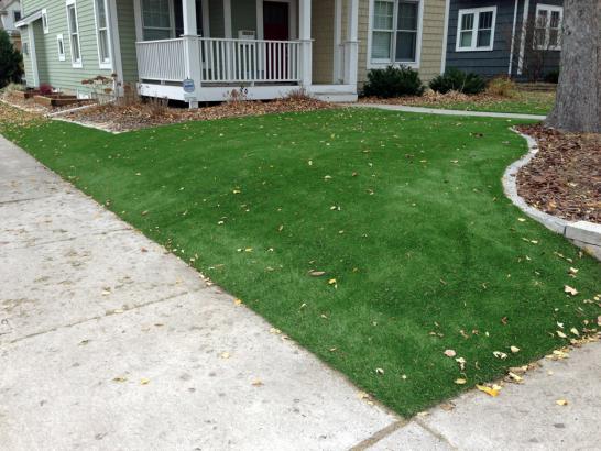 Artificial Grass Photos: Fake Turf Baldwin Park, California Rooftop, Front Yard