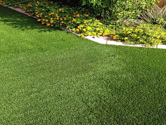 Artificial Grass Photos: Fake Turf Boynton Beach, Florida Landscape Photos, Front Yard Landscape Ideas