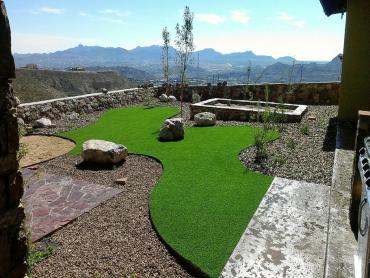 Artificial Grass Photos: Fake Turf Daly City, California Hotel For Dogs, Backyard Design