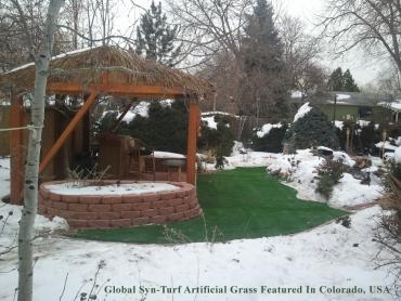 Artificial Grass Photos: Fake Turf Detroit, Michigan Paver Patio, Small Backyard Ideas